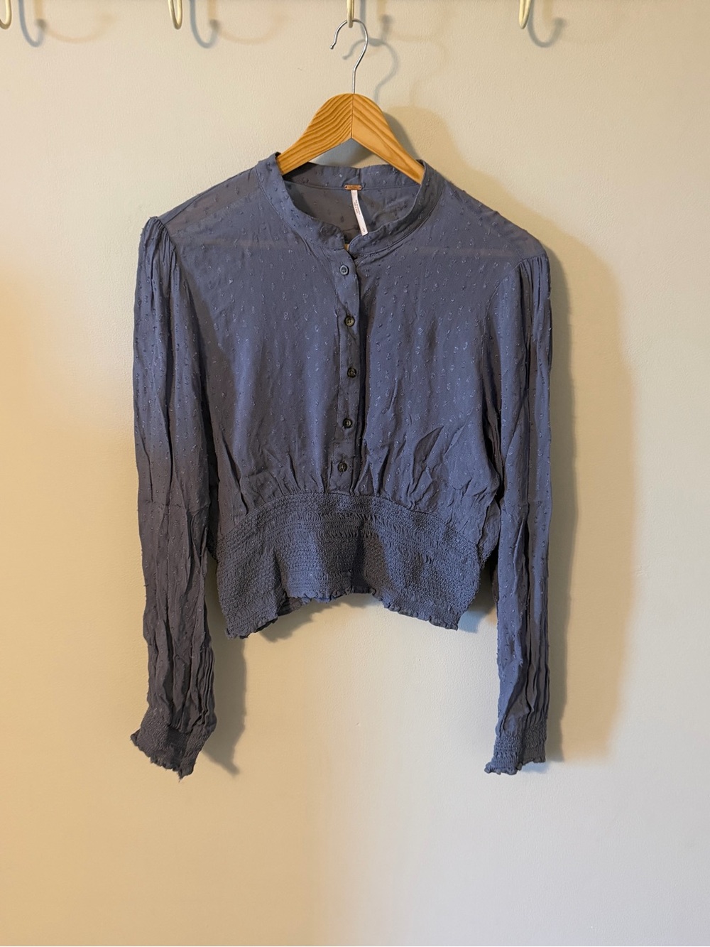 Free People Blue Swiss Dot Smocked Cropped Blouse Large